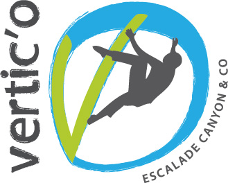 vertic'o_logo_RVB_web_grand